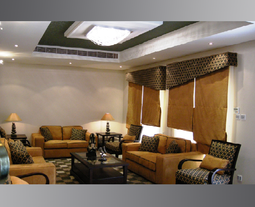 صورة المشروع