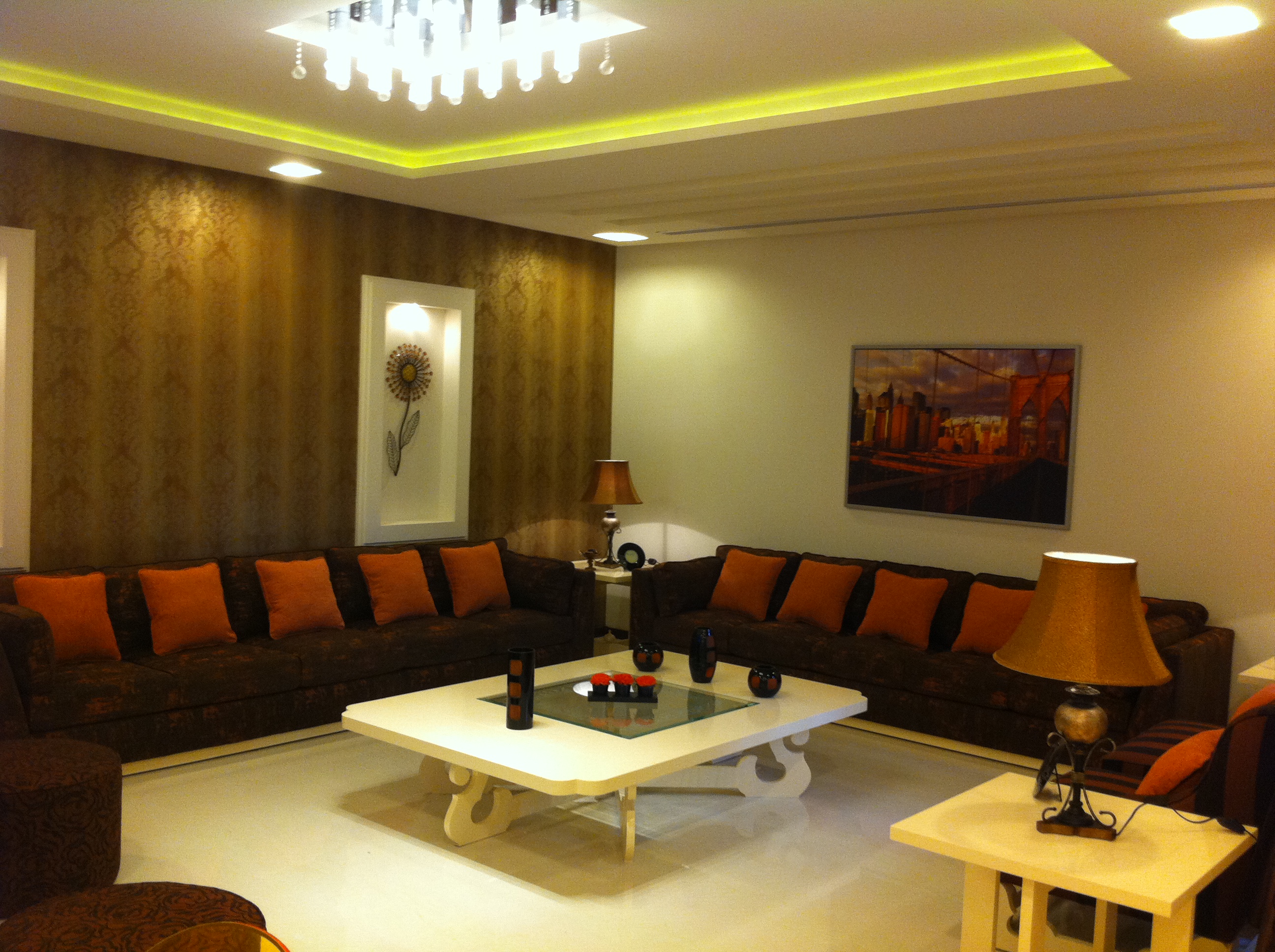 صورة المشروع