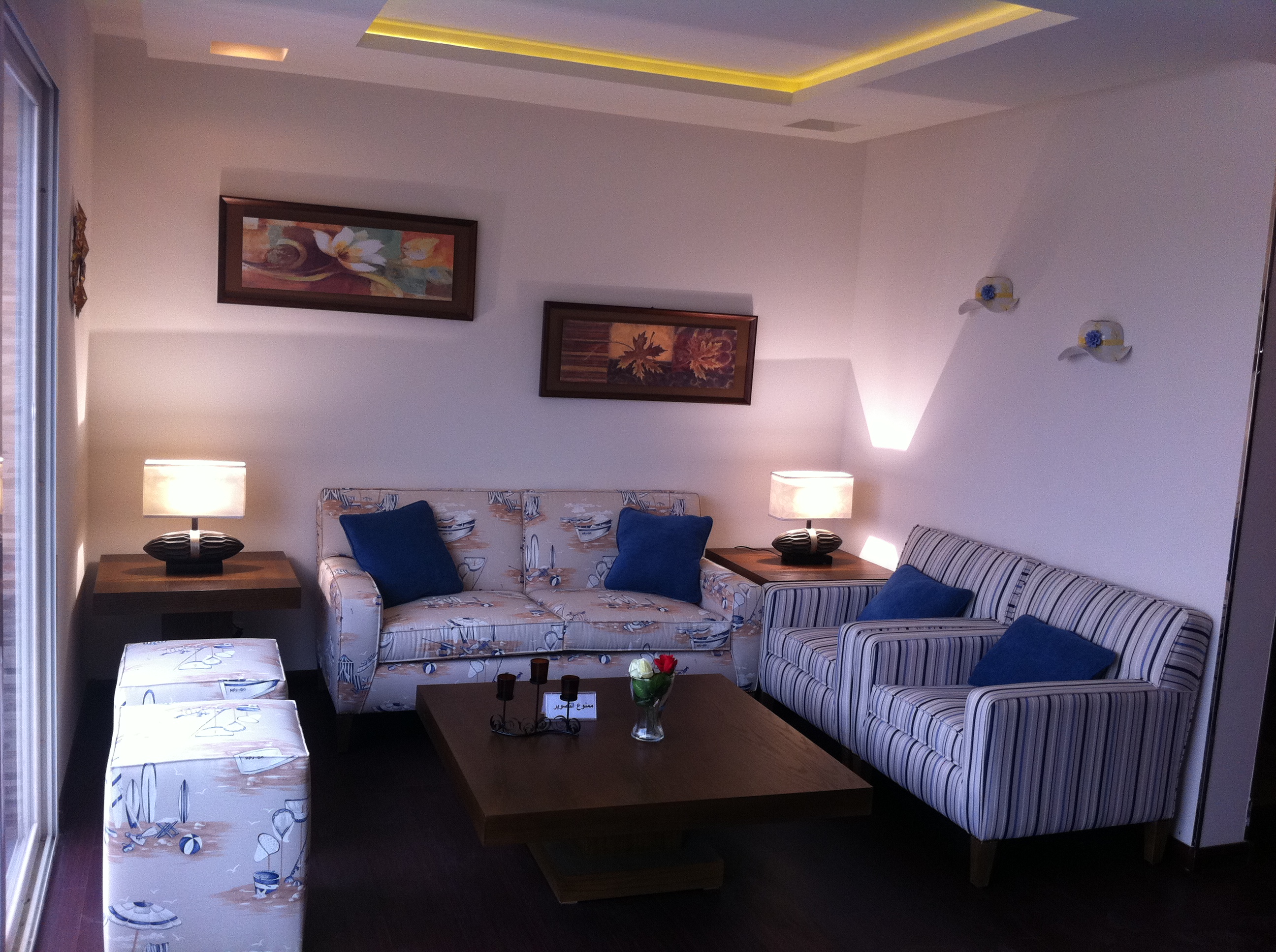 صورة المشروع