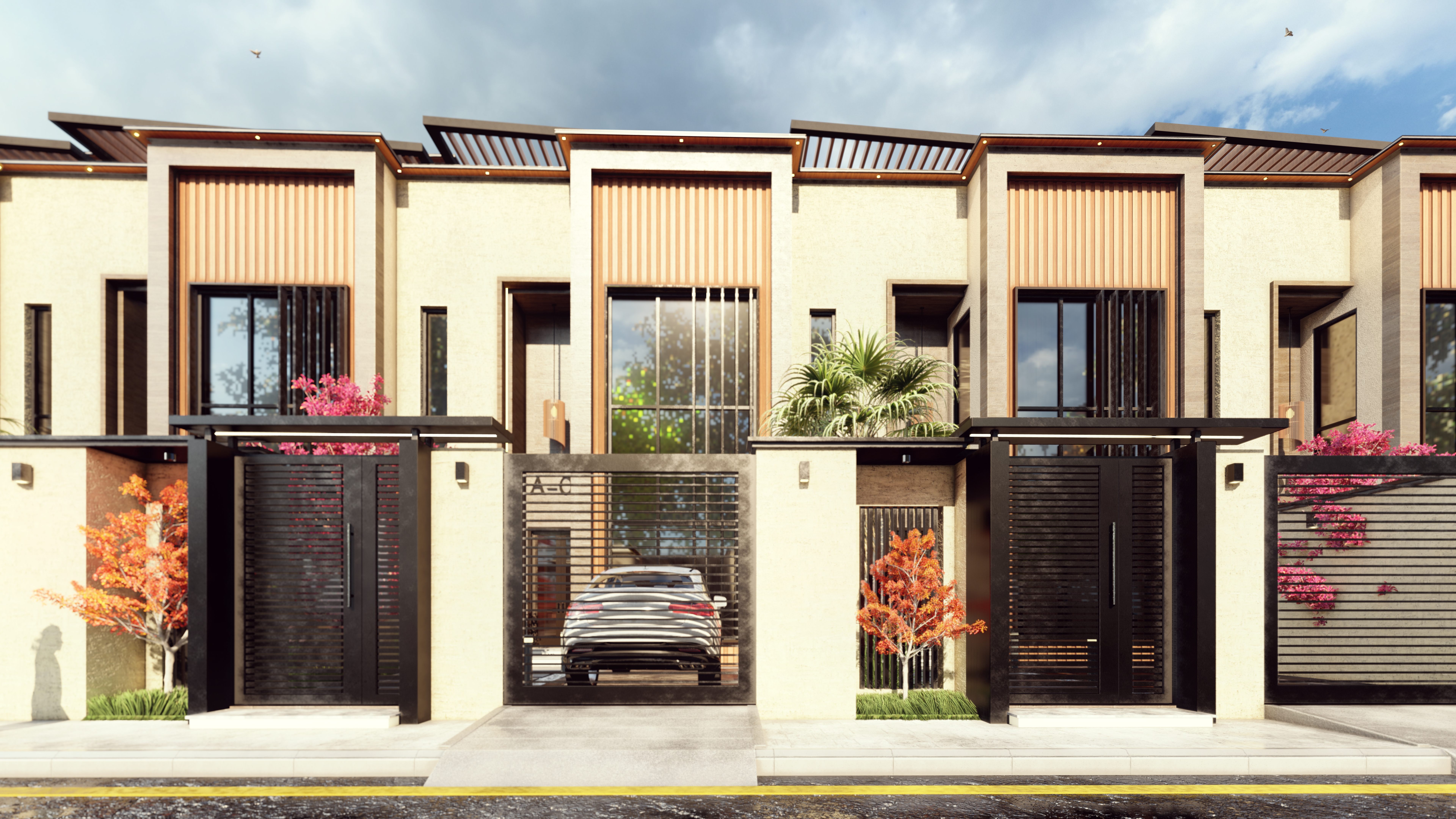 كناري 12 تركي الاول